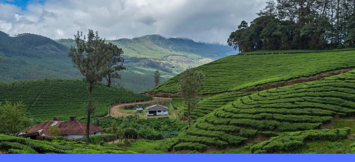 Kerala Couple Houseboat